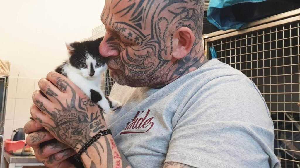 Harte Hunde Popeye tot: Ein Vermächtnis im Tierschutz
